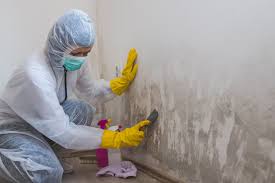 Best Mold Odor Removal Services  in Gary, IN